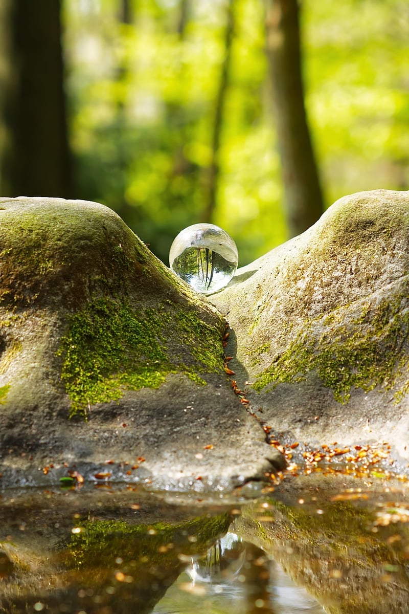 Grounding Meditation