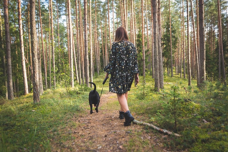 Mindful Walking in Nature